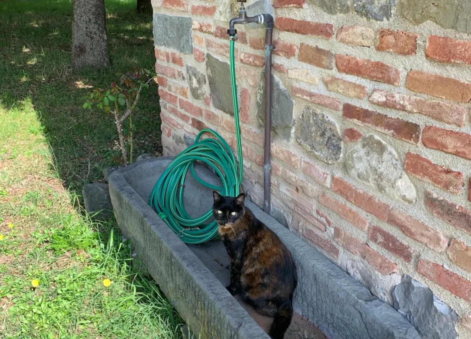 Podere La Ceppa1 Sinalunga