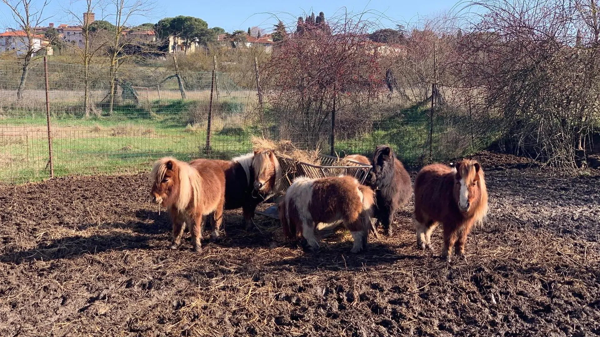 Podere La Ceppa1 Sinalunga Italia